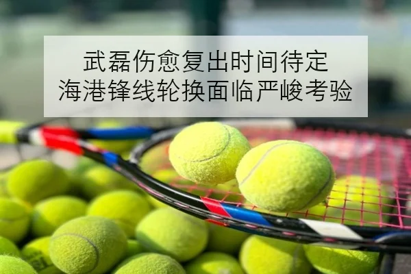 武磊伤愈复出时间待定 海港锋线轮换面临严峻考验